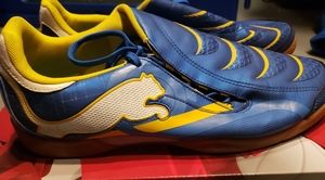 Puma indoor soccer shoes